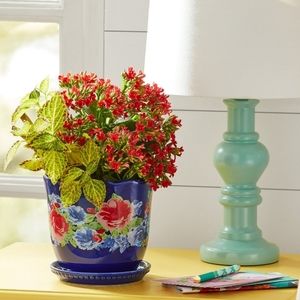 ❤️ New Pioneer Woman Heritage Floral 6" Stoneware Planter